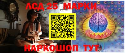 гидра Ставрополь