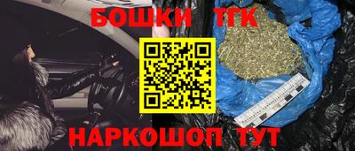 гидра Ставрополь