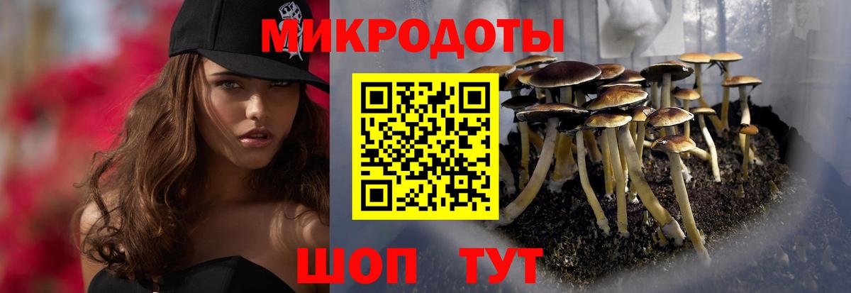 Галлюциногенные грибы GOLDEN TEACHER  Вход с VPN  Малгобек 